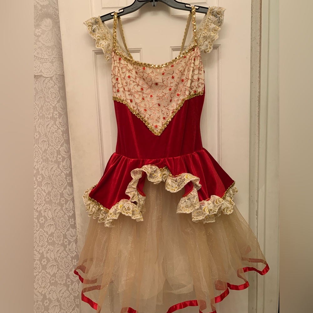 Elegant Red and Gold Adult Large Classical Ballet Costume